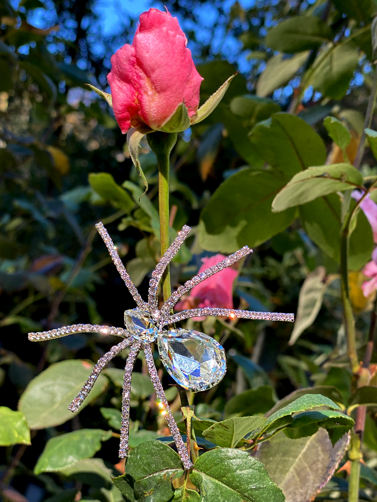 Spider Baby Rhinestone Spider Brooch - Crystal