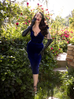 Baudelaire Dress in Midnight Velvet