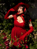 Southern Gothic Bustier Top in Crimson